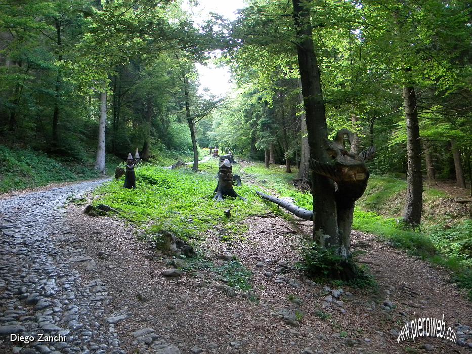 1-si sale per il bosco degli Gnomi.jpg